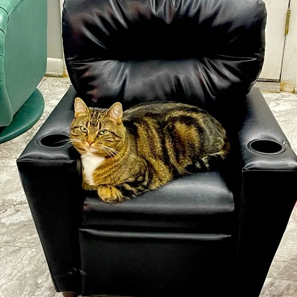 Positive things - Picture 1 of 1